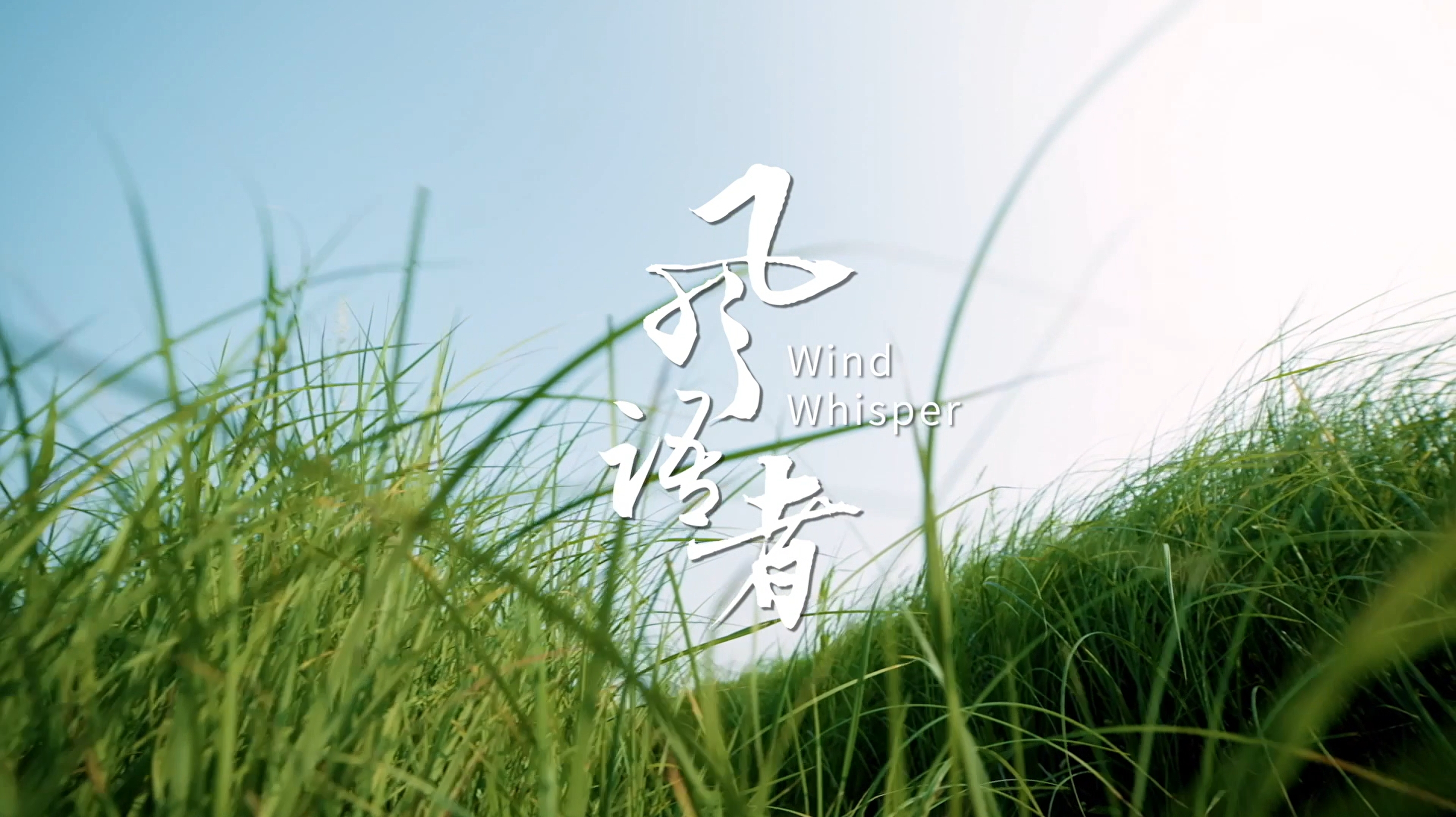 風語者
